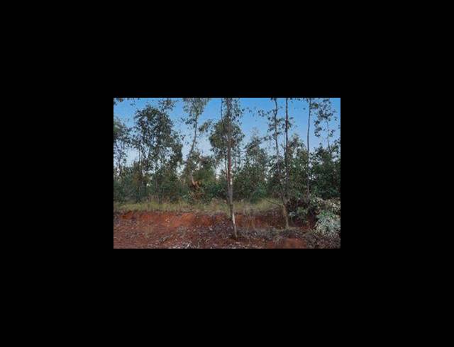 11HA VACANT LAND FOR SALE IN TENACRE AH
